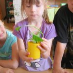 img_4034-kopiowanie